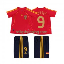 Fotbollströja Spanien TORRES 9 Retro Barn Hemmaställ 2008 Kort ärm