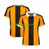 Hull City Fotbollströja Män Hemmaställ Kort ärm 2026-2027