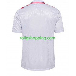 Fotbollströja Danmark Män Bortaställ Euro 2024 Kort ärm