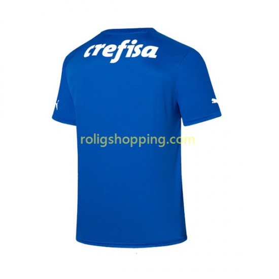 Fotbollströja Palmeiras Målvakt Män Hemmaställ 2023-2024 Kort ärm