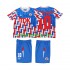 Fotbollströja AFC Ajax BERGKAMP 10 1989 1990 Retro Barn Bortaställ Lång ärm