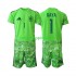 Fotbollströja Spanien David Raya 1 6th Green color Målvakt Barn World Cup 2026 Kort ärm