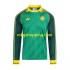 Fotbollströja Celtic Special Män Hemmaställ 2024 Lång ärm