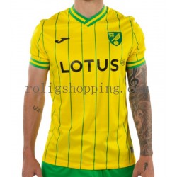 Fotbollströja Norwich City Män Hemmaställ 2022-2023 Kort ärm