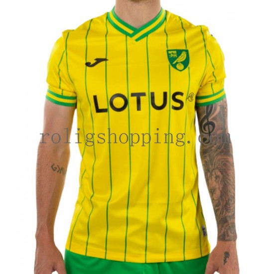 Fotbollströja Norwich City Män Hemmaställ 2022-2023 Kort ärm