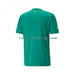 Fotbollströja Senegal Män Bortaställ World Cup 2022 Kort ärm