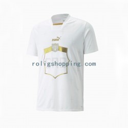 Fotbollströja Serbien Män Bortaställ World Cup 2022 Kort ärm