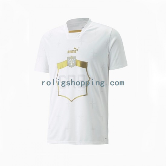 Fotbollströja Serbien Män Bortaställ World Cup 2022 Kort ärm