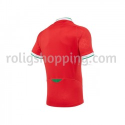 Rugbytröjor Wales Förstaställ 2020-2021 Kort ärm